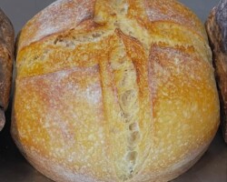 Bread Sample 005