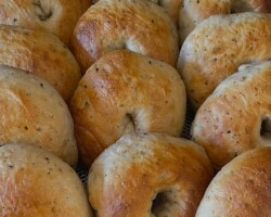 Bread Sample 008