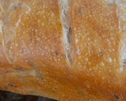 Bread Sample 011