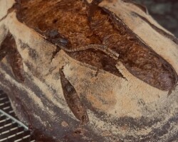Bread Sample 015