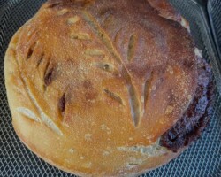 Bread Sample 018