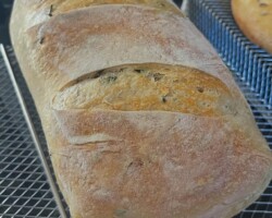 Bread Sample 019
