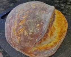Bread Sample 020